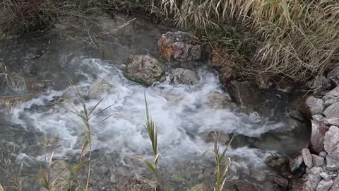 Emissions of Dirty Waste Water from a Pipe Outgoing First into the River. Stock Footage 172164608
