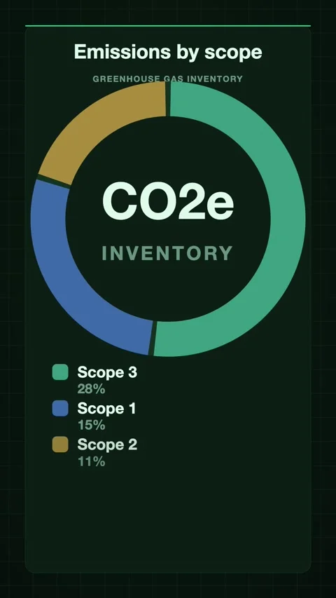 Emissions by scope donut chart animation, ESG motion graphic Video stock 346184782