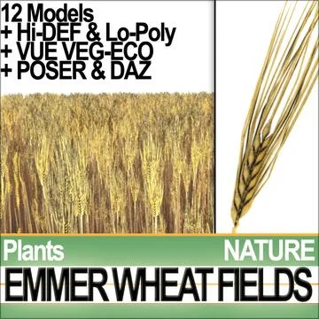 Emmer Wheat Fields Poser DAZ VFX Animation 3D Model