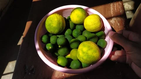 Emons and limes in a basket under dramatic sunlight Stock Footage 335514441