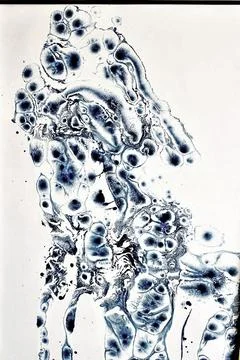 Emotion in Motion: Abstract Expression of Inner Worlds Stock Photos