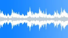 Emotional moment (30 seconds, loop, wedding, inspiring, orchestra, love) Stock Music