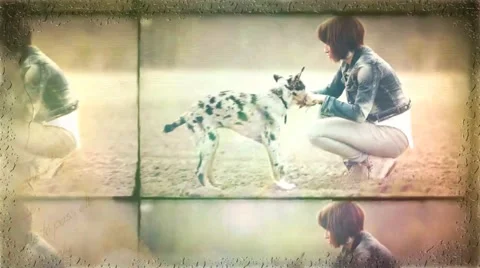 Emotional Slideshow Stock After Effects