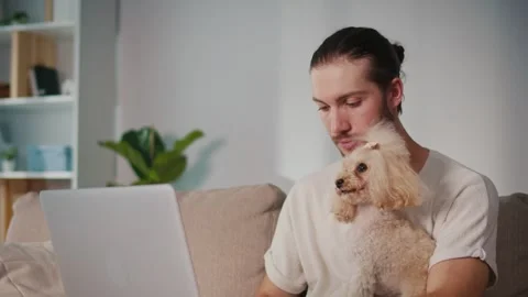 Emotional Support, Remote Work. Man in Online Call with Dog Beside Him Stock Footage 307066978