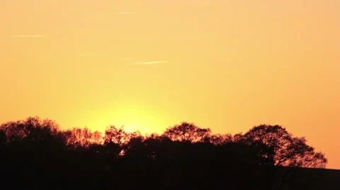 Emotional Tree shadows at sunset Stock-Footage 43663112