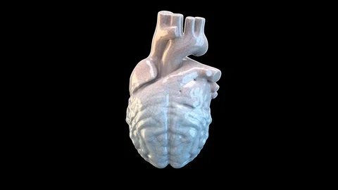 Emotional vs logical, love vs rational, heart morphs into brain 4k Loop Alpha Stock Footage 129459822