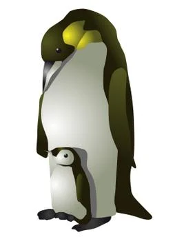 Emperor penguin Stock Illustration