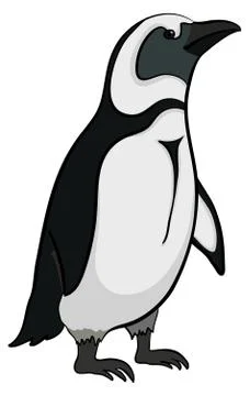 Emperor penguin Stock Illustration