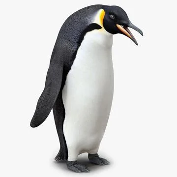 Emperor Penguin Pose 3 3D Model