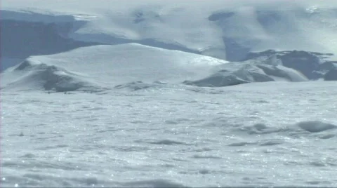 Emperor penguin sliding on the ice Stock Footage 604253