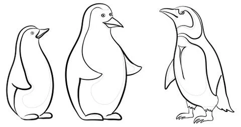 Emperor penguins, contours Stock Illustration