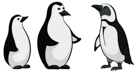 Emperor penguins Stock Illustration