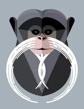 Emperor tamarin Stock Illustration