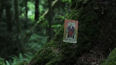 The Emperor Tarot Card Stock Footage 200786482