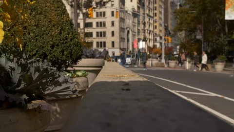Empire State Building On Beautiful New York Street As Traffic Drives Past Stock Footage 113885728