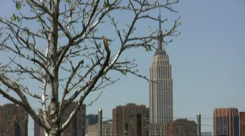 Empire State Building Stock Footage 695352