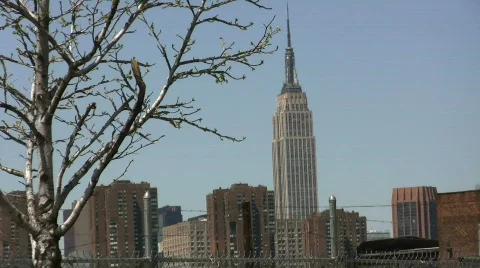 Empire State Building Stock Footage 695353