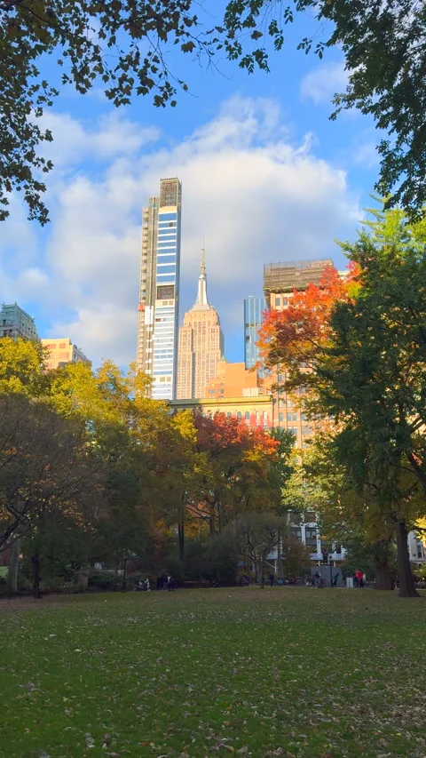 Empire State Building stand beyond autumn-colored trees in Madison Square Park  Видео 340385187