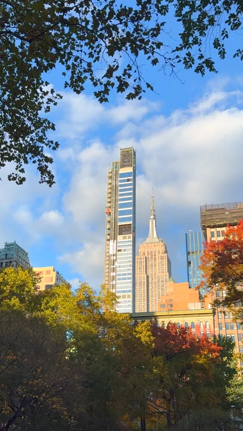 Empire State Building stand beyond autumn-colored trees in Madison Square Park 库存影片 342564621