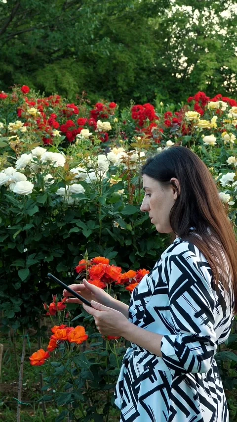 The employee analyzes the condition of the plants. Horticultural firm. Field of Stock Footage 314564330