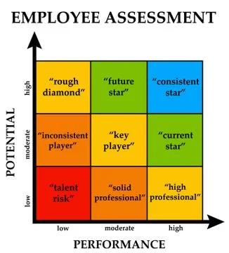 Employee assessment Stock Illustration