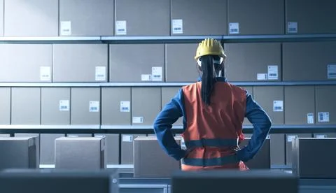 Employee checking packages at the warehouse Stock Photos