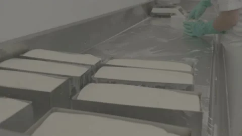 Employee putting cheese in rectangular molds at the factory. Stock Footage 222015983