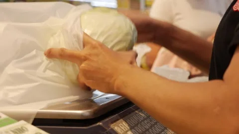 The employee weighs a head of cabbage using an electronic scale in a bright Video stock 312104271