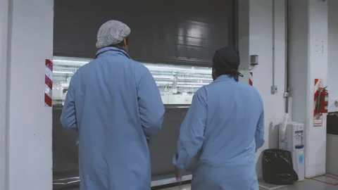 Employees Entering Electronics Factory Through Automatic Door, 4K Stock Footage 155248776