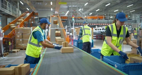 Employees Loading Parcels in Sorting Center Stock Footage 319005050