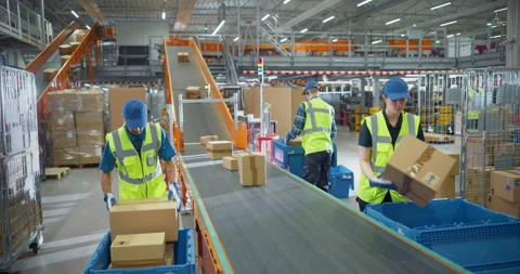 Employees Loading Parcels in Sorting Center 스톡 동영상 319005087