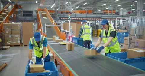 Employees Loading Parcels in Sorting Center Video stock 319005101