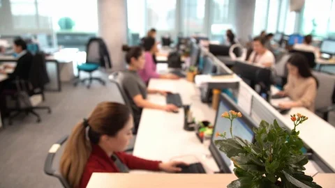 Employees work on computers - Footage 1 Vídeo Stock 116348148