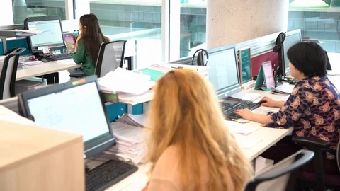 Employees Work For Computers Video stock 116347912