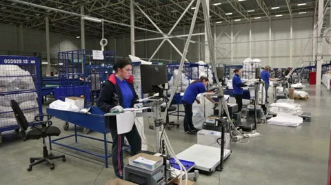 Employees in the workplace Stock Footage 50906584