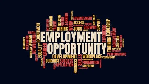 Employment Opportunity Word Cloud Vector Concept Illustration 库存插图