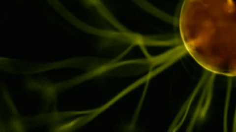 Empowered Yolk 스톡 동영상 103972