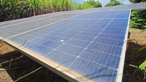 Empowering Rural Smart Grids via Agrivoltaic Land Management by placing high-eff 動画素材 345089383