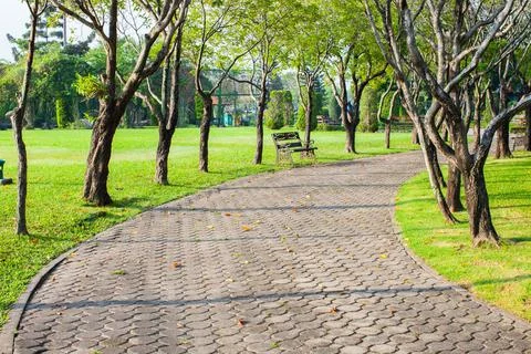 Empthy lanes in park Stock Photos