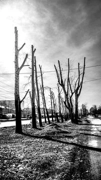 Emptiness street Stock Photos