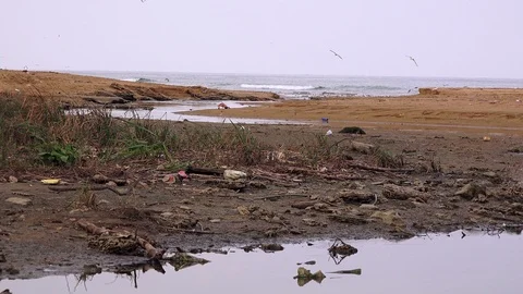 Empty abandoned beach Stock Footage 101843156