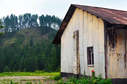 Empty abandoned house in a clearing in the forest. Stock Photos