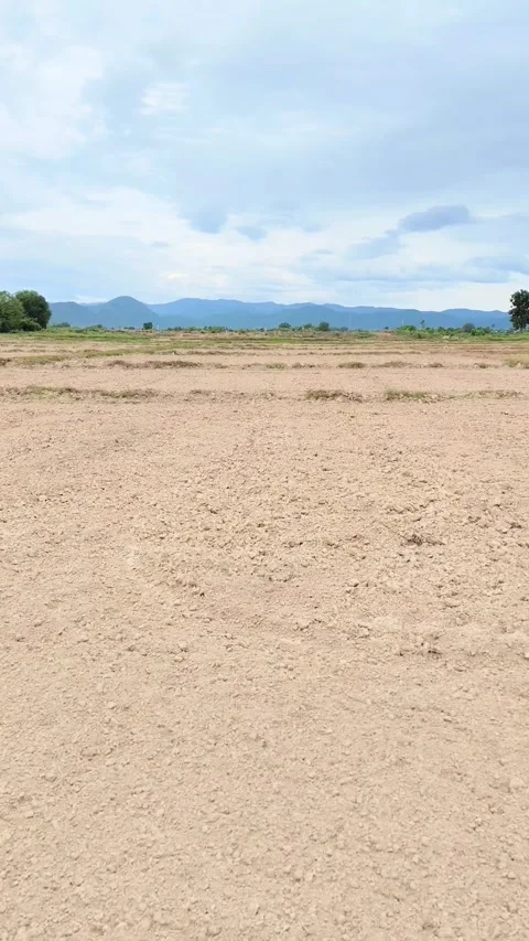Empty agricultural field prepared Stock Footage 339017893