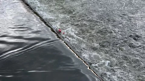 Empty alcohol bottles caught in the water at a weir Vídeo Stock 142255637