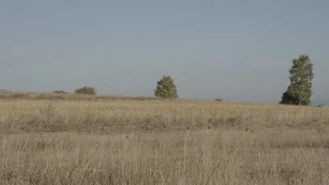 Empty and arid mountains Stock Footage 166713715