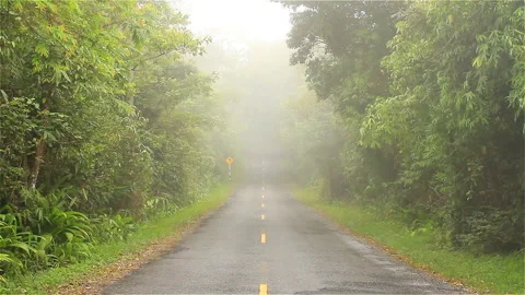 Empty and misty road Stock Footage 285754759