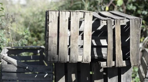Empty and old apple boxes Stock Footage 42644697