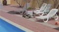 Empty and sunny swimming pool HD Footage