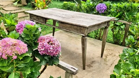 Empty Antique Wood Table in Botanical Garden for Product Mockup or Portrait Spot Stock Footage 334022428