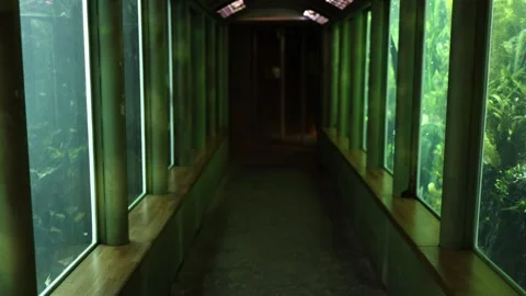 Empty aquarium corridor with underwater views through large glass windows Video stock 344789648